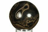 Polished Stromatolite (Greysonia) Sphere - Bolivia #227068-1